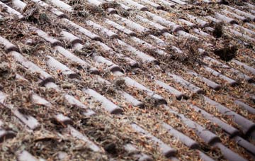 Bainton roof cleaning companies